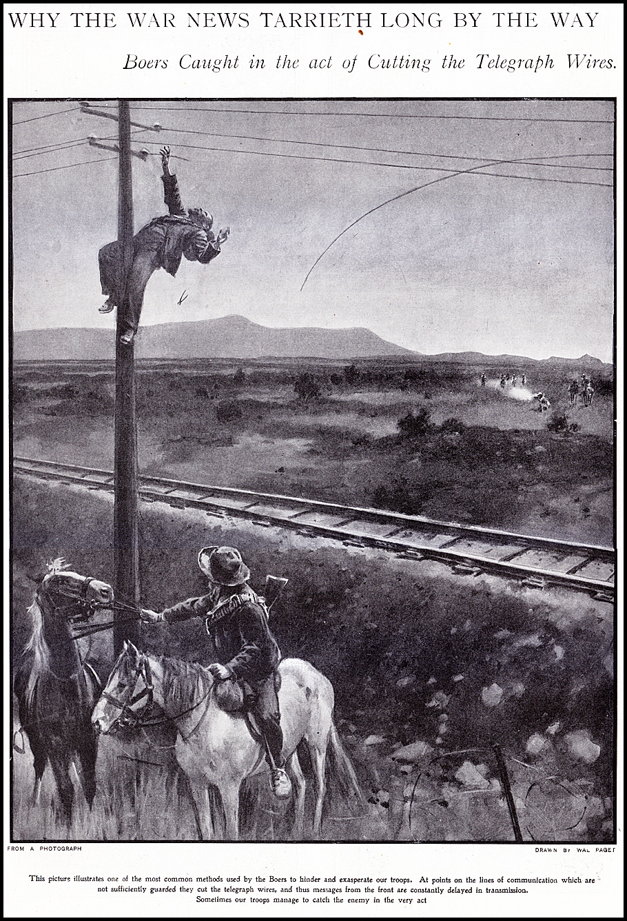 Boer cutting line